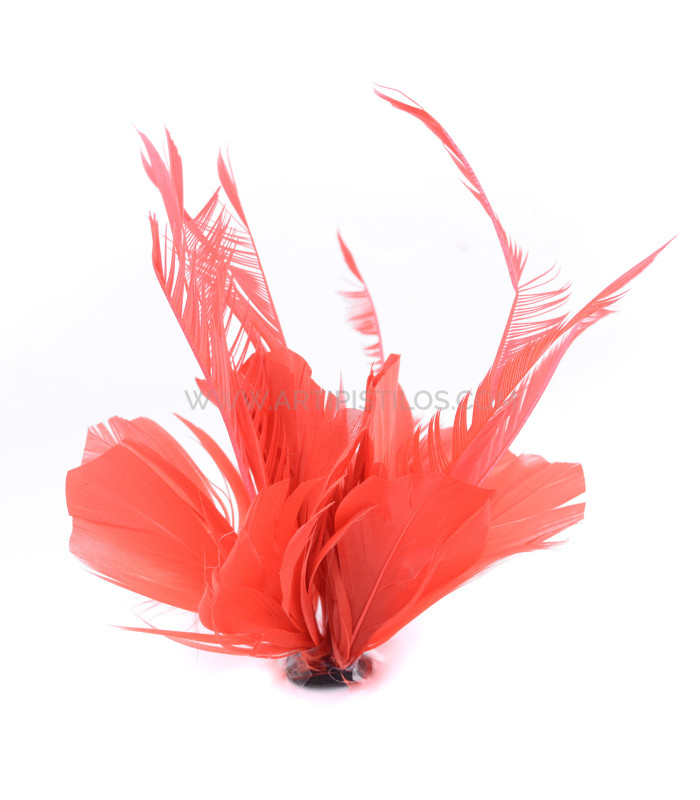 FEATHER MOUNT OF DUCK AND GOOSE BIOT