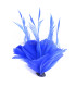 FEATHER MOUNT OF DUCK AND GOOSE BIOT