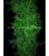 FEATHER BOA TURKEY FLAT
