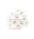 FLOR DE PORCELANA FRÍA 2,5 CM