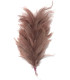 MONTAJE DE PLUMAS DE CUELLO DE GALLO
