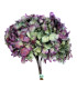 HORTENSIA PRESERVADA