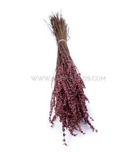 RAMO DE LAVANDA PRESERVADA & AROMATIZADA "VISEU"