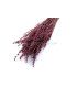 PRESERVED & FLAVOURED LAVENDER BOUQUET "VISEU"