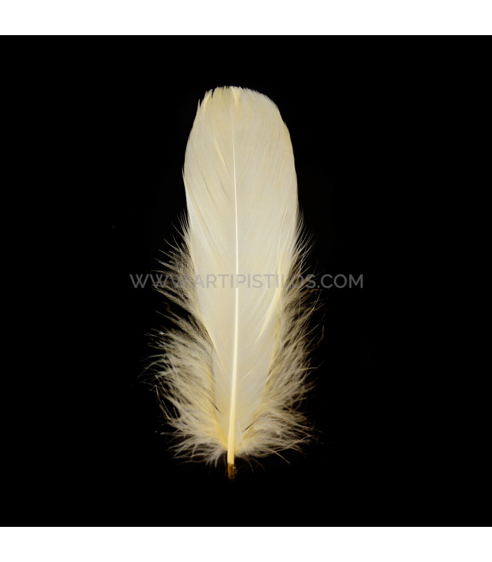 PLUMA DE OCA RASPADA 15 CMS.