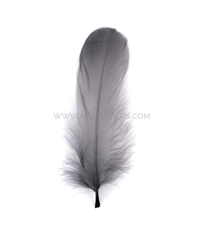 PLUMA DE OCA RASPADA 15 CMS.