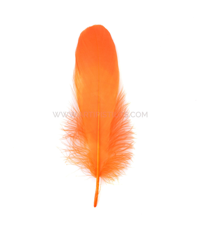 PLUMA DE OCA RASPADA 15 CMS.