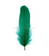 PLUMA DE OCA RASPADA 15 CMS.