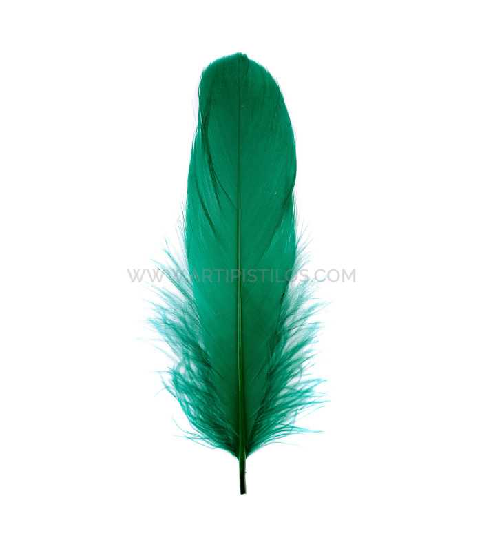 PLUMA DE OCA RASPADA 15 CMS.