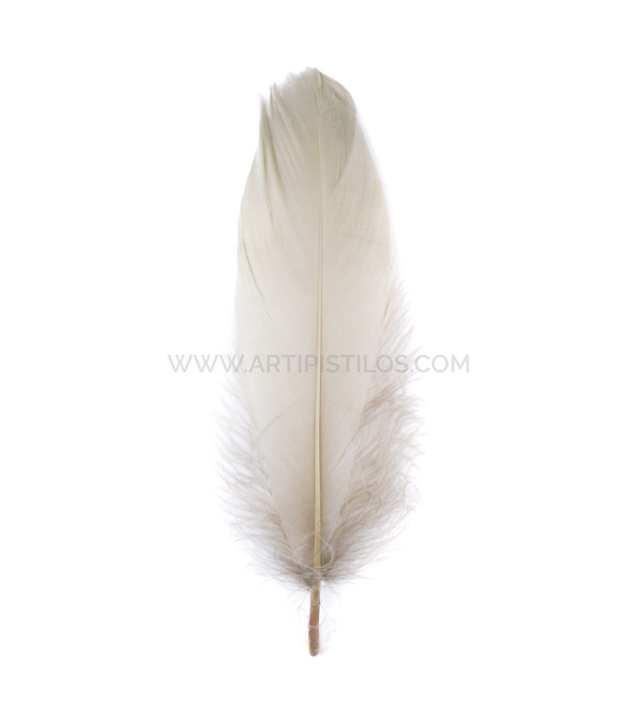 PLUMA DE OCA RASPADA 15 CMS.