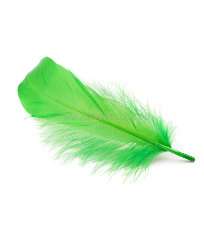 DUCK FEATHER 15 CMS.