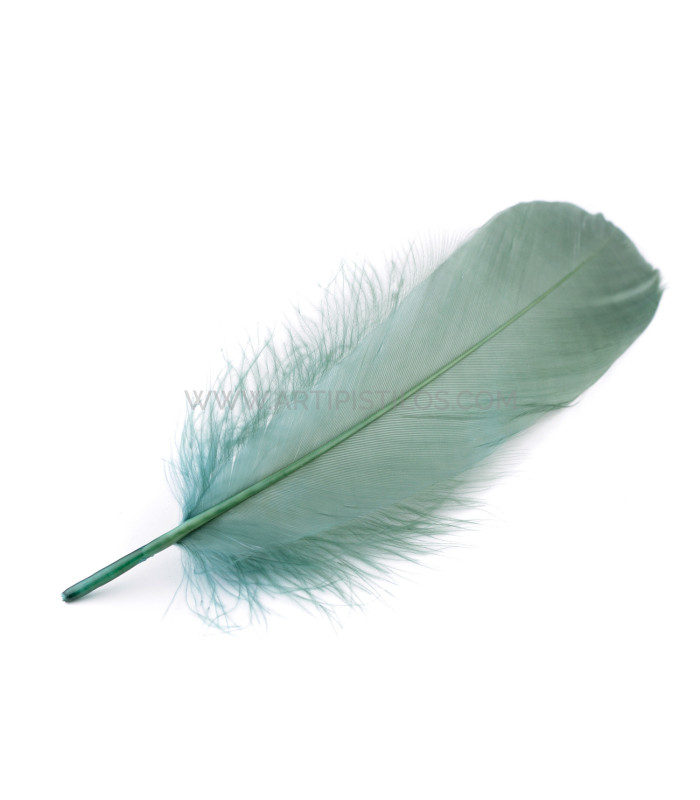 DUCK FEATHER 15 CMS.