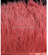 FRINGE OSTRICH FEATHERS 10 CMS.