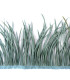 GOOSE BIOT FEATHER FIRST QUALITY -  10 CMS.