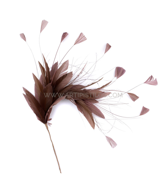 MONTAJE DE PLUMAS GALLO/AVESTRUZ QUEMADO/OCA RECORTADA