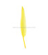 PLUMA DE OCA 25 CMS.