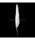 PLUMA DE OCA 25 CMS.