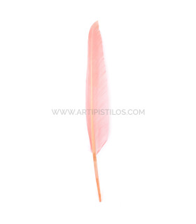 PLUMA DE OCA 25 CMS.