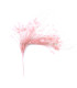 MONTAJE DE PLUMAS GALLO/AVESTRUZ 30 X 15 cm