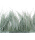 OSTRICH FEATHERS FRINGE - 2 PLY. FIRST QUALITY - 10 CMS.