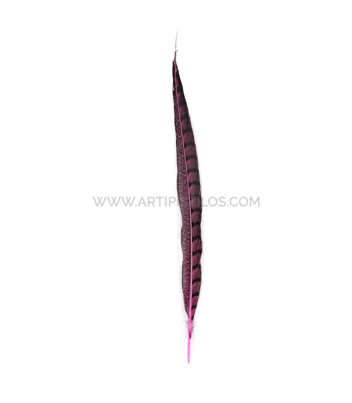 PHEASANT FEATHER LADY AMHERST 40-45 CMS.