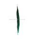 PHEASANT FEATHER LADY AMHERST 40-45 CMS.
