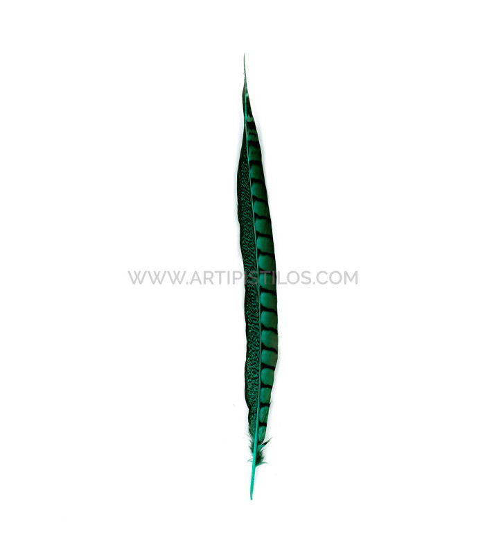 PHEASANT FEATHER LADY AMHERST 40-45 CMS.
