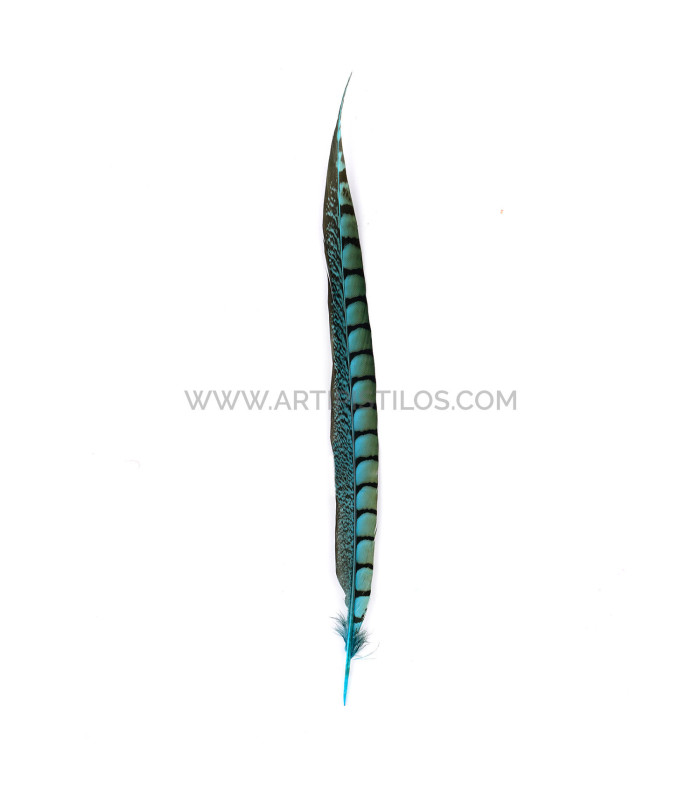 PHEASANT FEATHER LADY AMHERST 40-45 CMS.