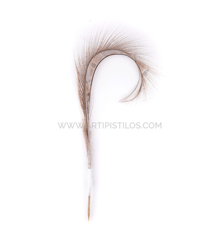 PACK DE 2 PLUMAS DE FAISÁN QUEMADO