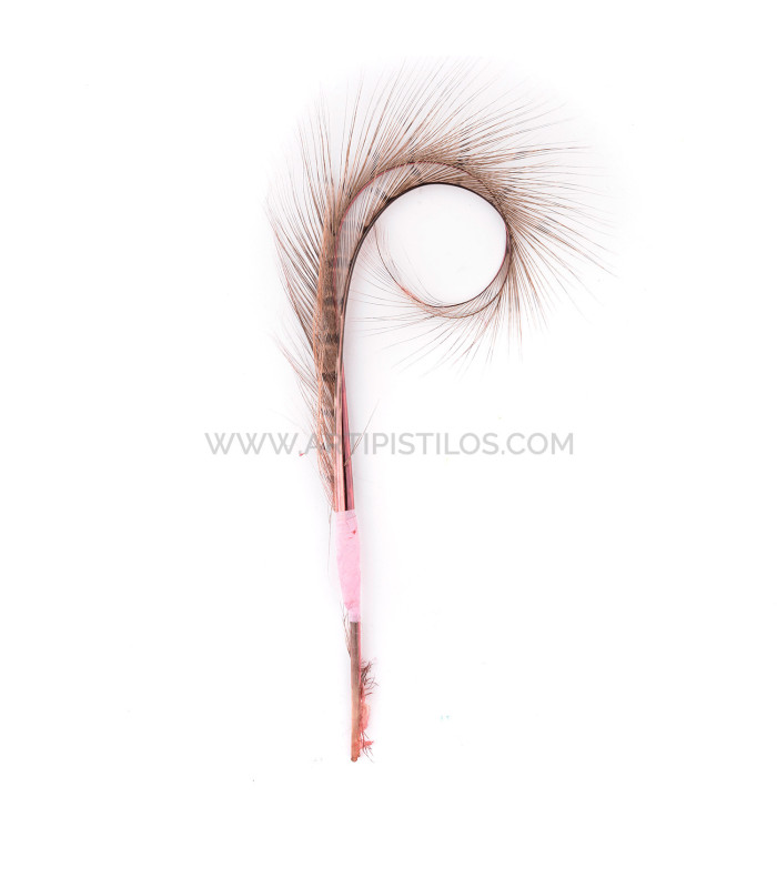 PACK DE 2 PLUMAS DE FAISÁN QUEMADO