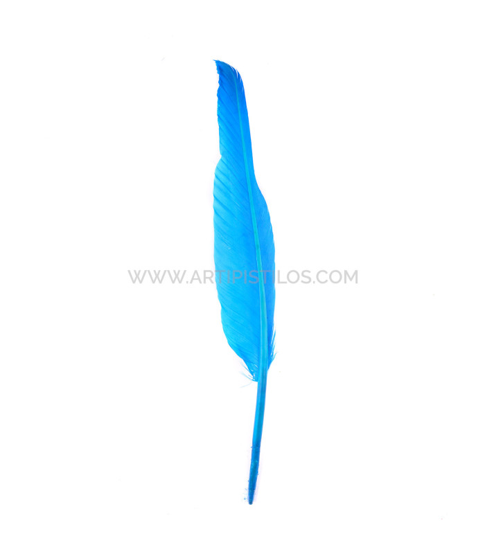 PLUMA DE OCA 25 CMS.