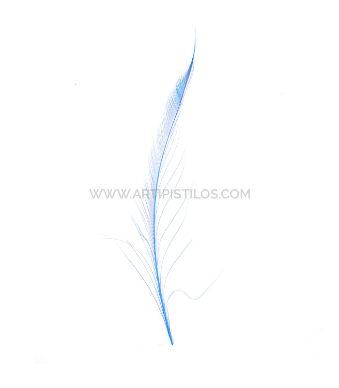 PLUMA PAVO REAL ESPADA 30 CMS.