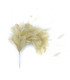 MONTAJE DE PLUMAS 35 x 12 cm