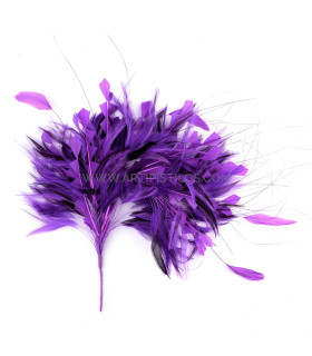 MONTAJE DE PLUMAS 35 X 15 cm