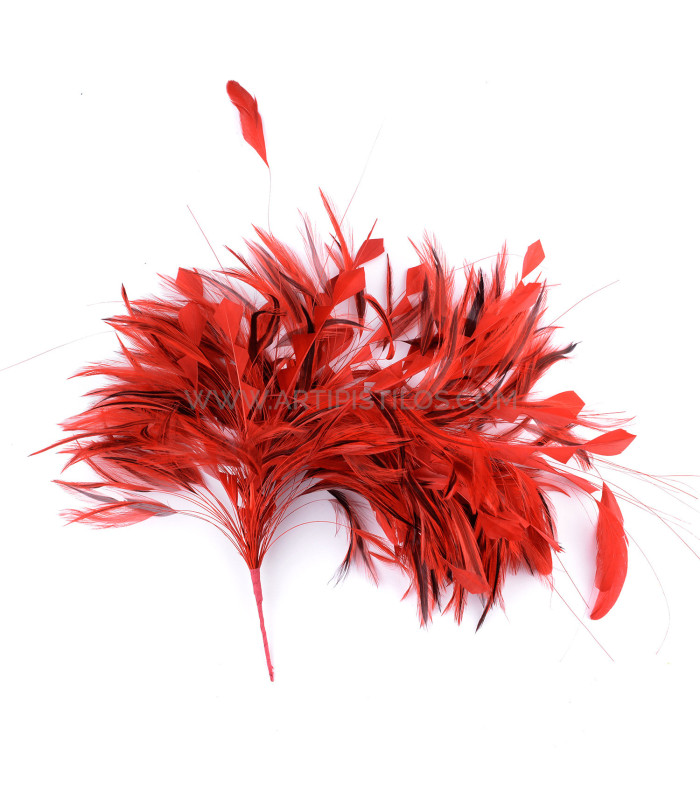FEATHERS MOUNT
