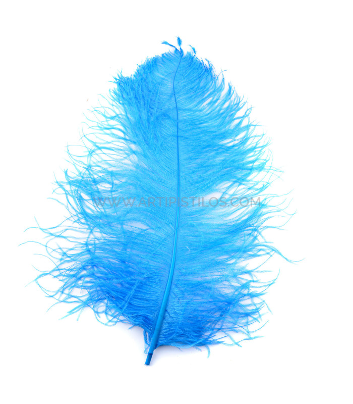 OSTRICH FEATHER FIRST QUALITY 50-55 CMS.