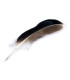PLUMA DE PATO 10 - 14 CM