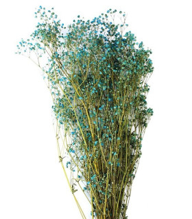 Paniculata Preservada "premium" Turquesa - tocados para