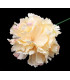 FABRIC CARNATION "ZAHORÍ"