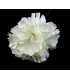 CLAVEL DE TELA "ZAHORÍ"