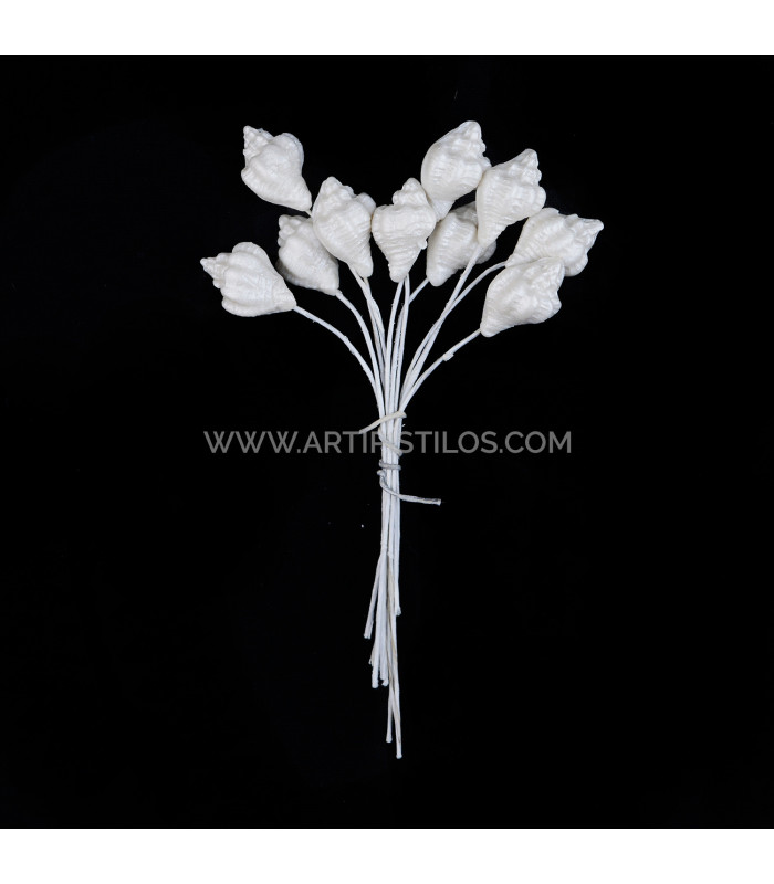 CARACOLA DE PORCELANA FRÍA  1,5 x 1 cm