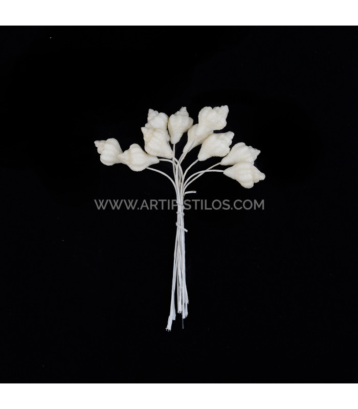 CARACOLA DE PORCELANA FRÍA  1,5 x 1 cm