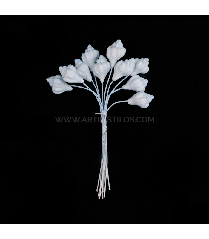 CARACOLA DE PORCELANA FRÍA  1,5 x 1 cm