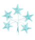 ESTRELLA DE MAR DE PORCELANA FRÍA 3,5 CM