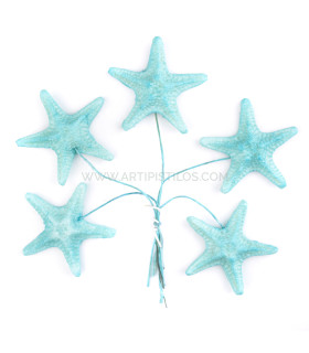 ESTRELLA DE MAR DE PORCELANA FRÍA 3,5 CM