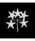 ESTRELLA DE MAR DE PORCELANA FRÍA 3,5 CM