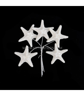 Estrella De Mar De Porcelana Fría 3,5 Cm Blanco - tocados para