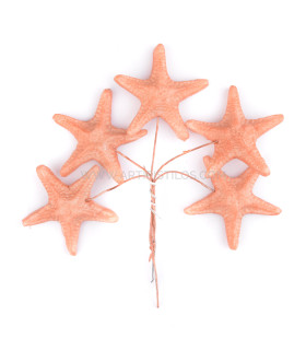 Estrella De Mar De Porcelana Fría 3,5 Cm Coral - tocados para
