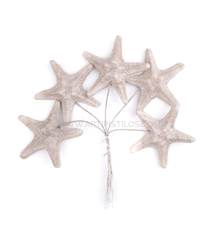 ESTRELLA DE MAR DE PORCELANA FRÍA 3,5 CM