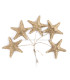 ESTRELLA DE MAR DE PORCELANA FRÍA 3,5 CM